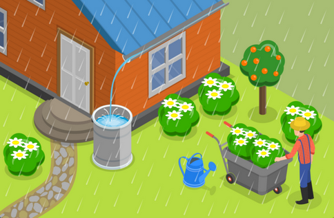 Aide de 50€ pour l’achat d’un récupérateur d’eau de pluie